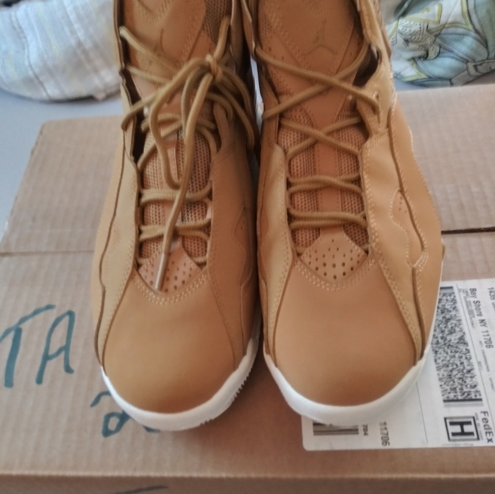 Air Jordan True Flight
